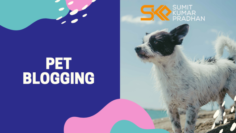 How to turn your pet blogging into a business in 2024