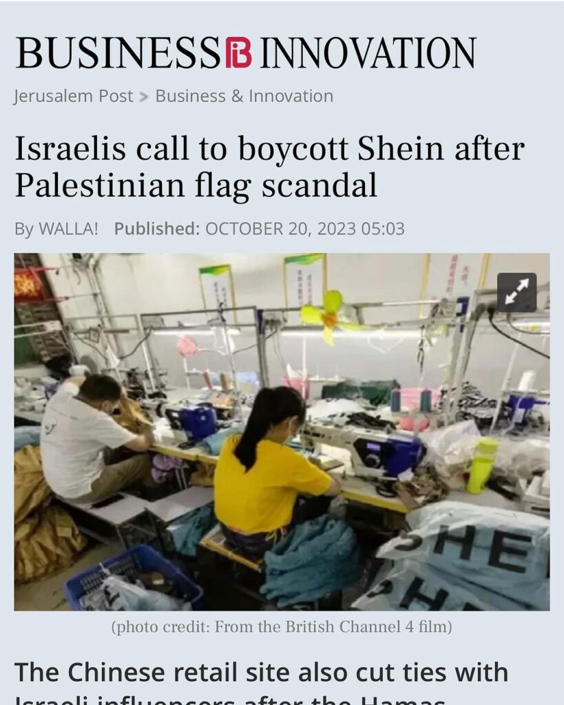 Controversy Around SHEIN Palestine Flag T-Shirt